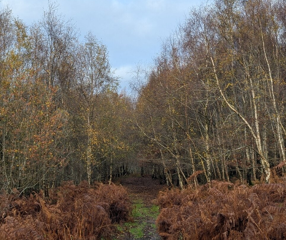 Froggatt Stone circle-Froggatt必去景点