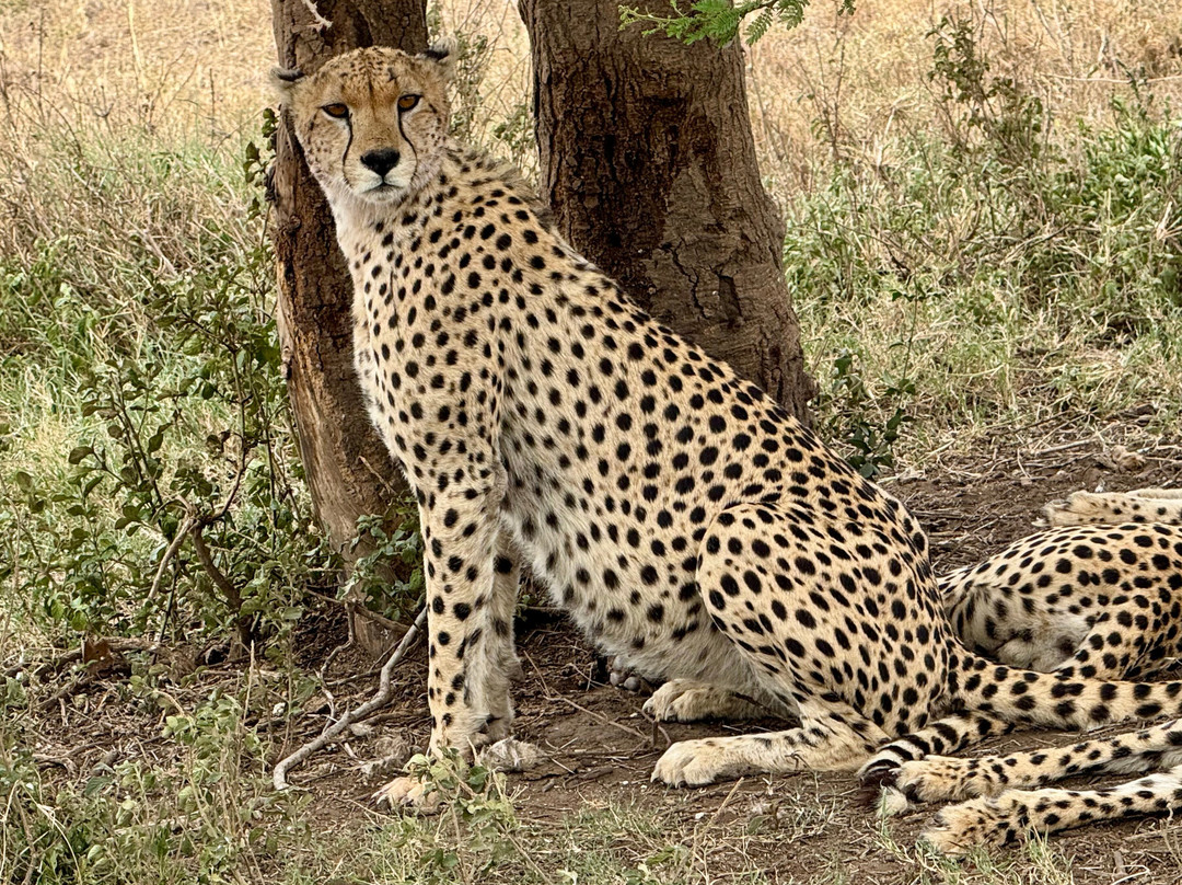 EXG Safaris LLC-California City必去景点