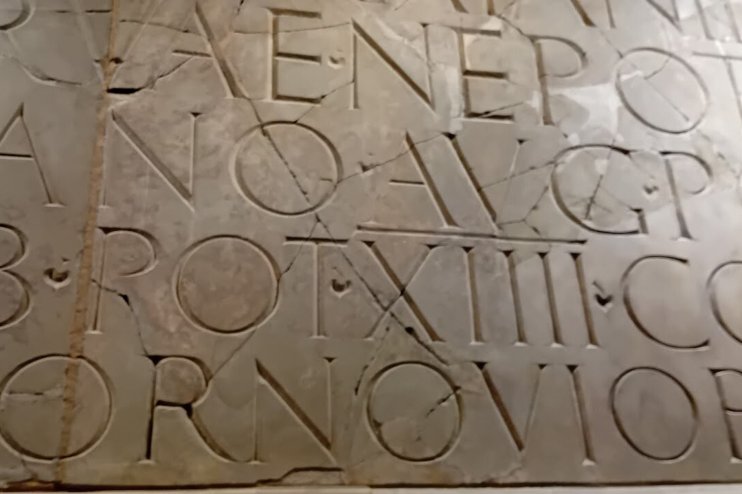 Shrewsbury Museum and Art Gallery-什鲁斯伯里必去景点