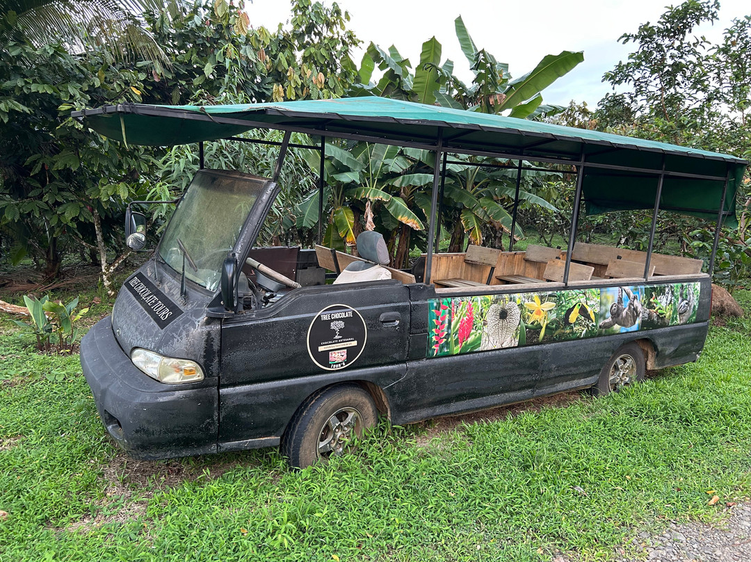 Tree Chocolate Tour-Upala必去景点