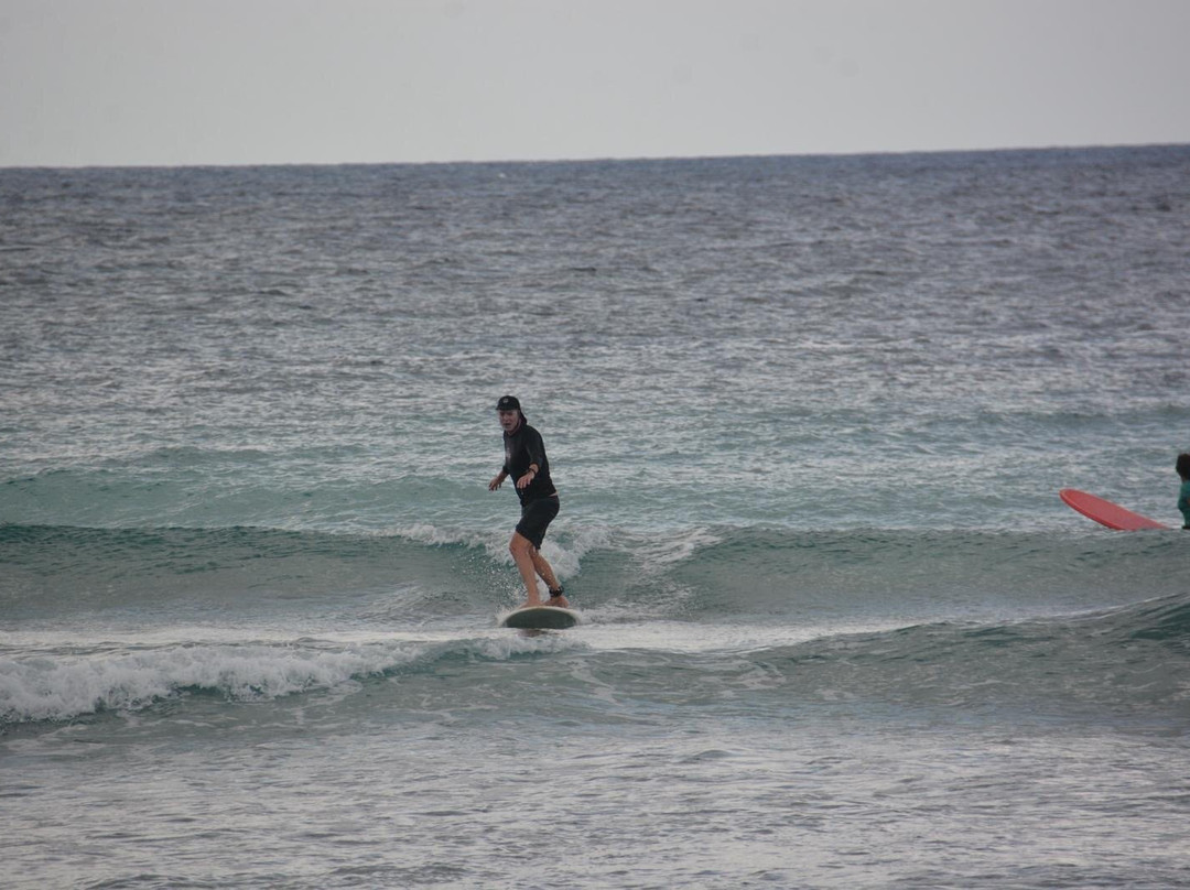 Boosy's Surf School-基督城必去景点