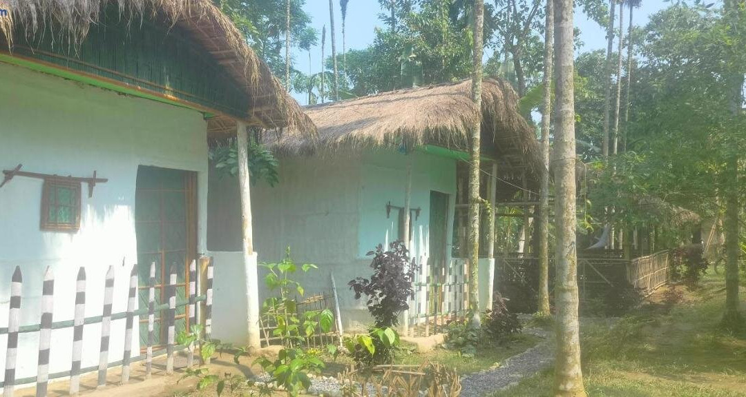 Tranquil Bambusic Bliss