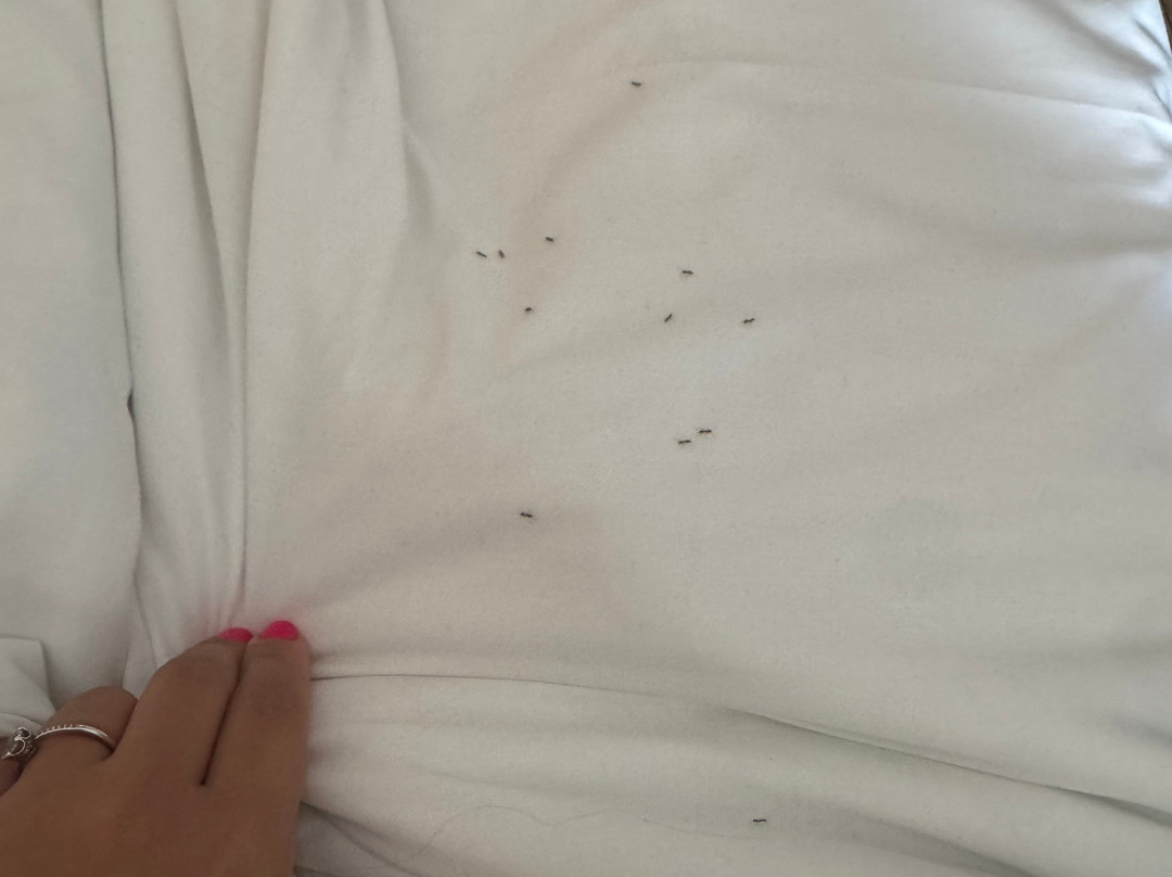 Hotel dos Zimbros主图