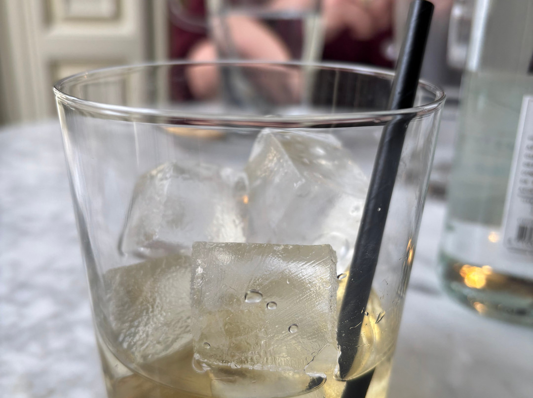 Art Zoo Museum-阿姆斯特丹必去景点