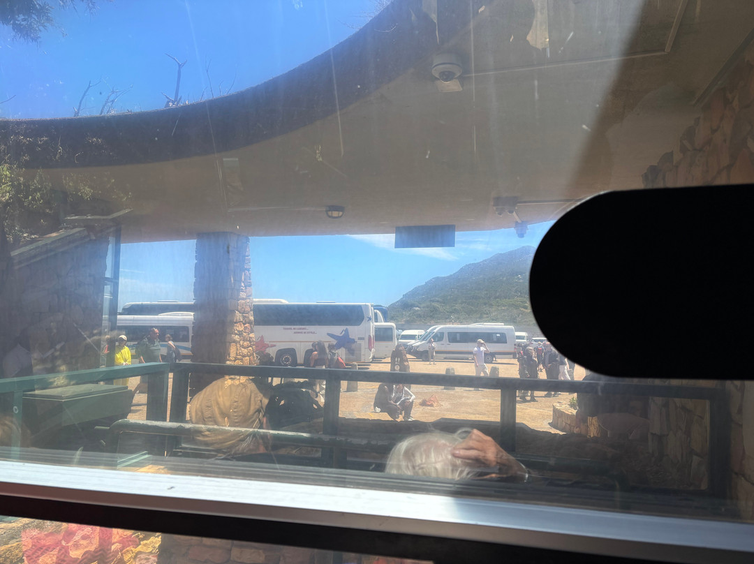 Flying Dutchman Funicular-开普敦中心区必去景点