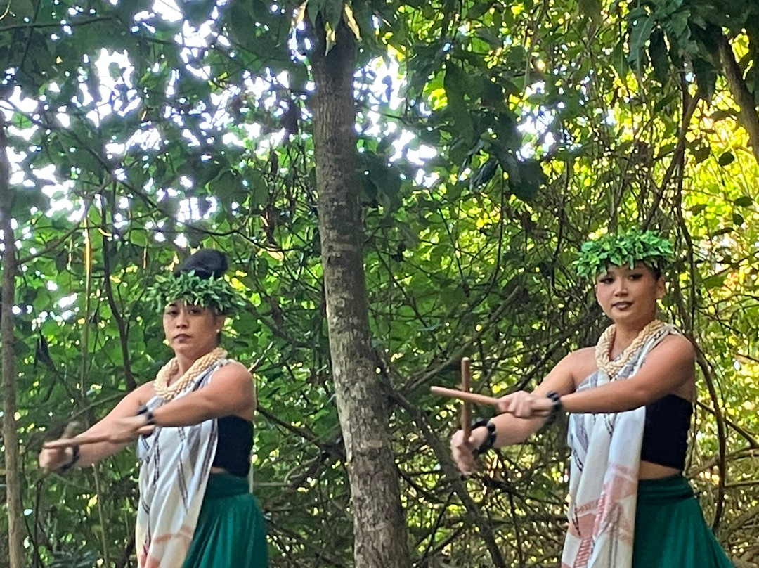 Experience Nutridge-火奴鲁鲁必去景点