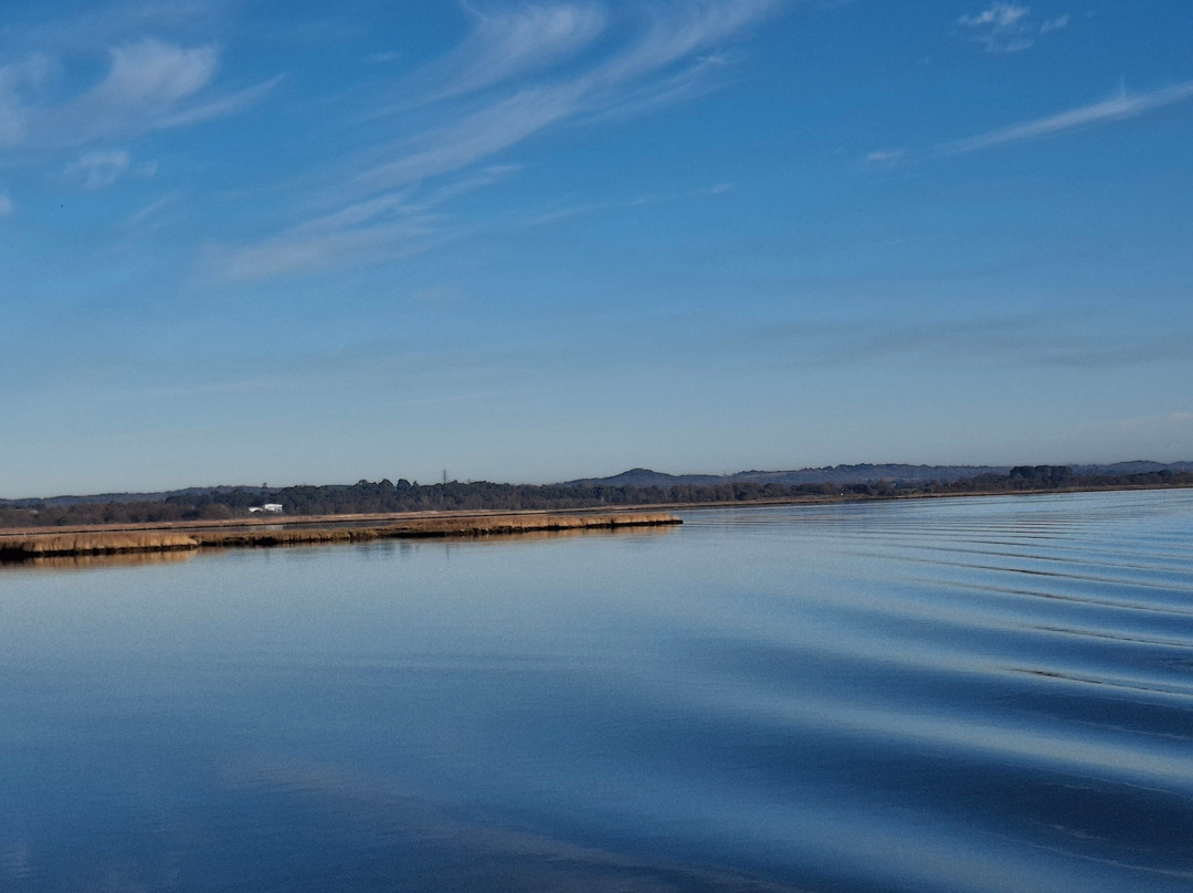 Birds Of Poole Harbour Events-普尔必去景点