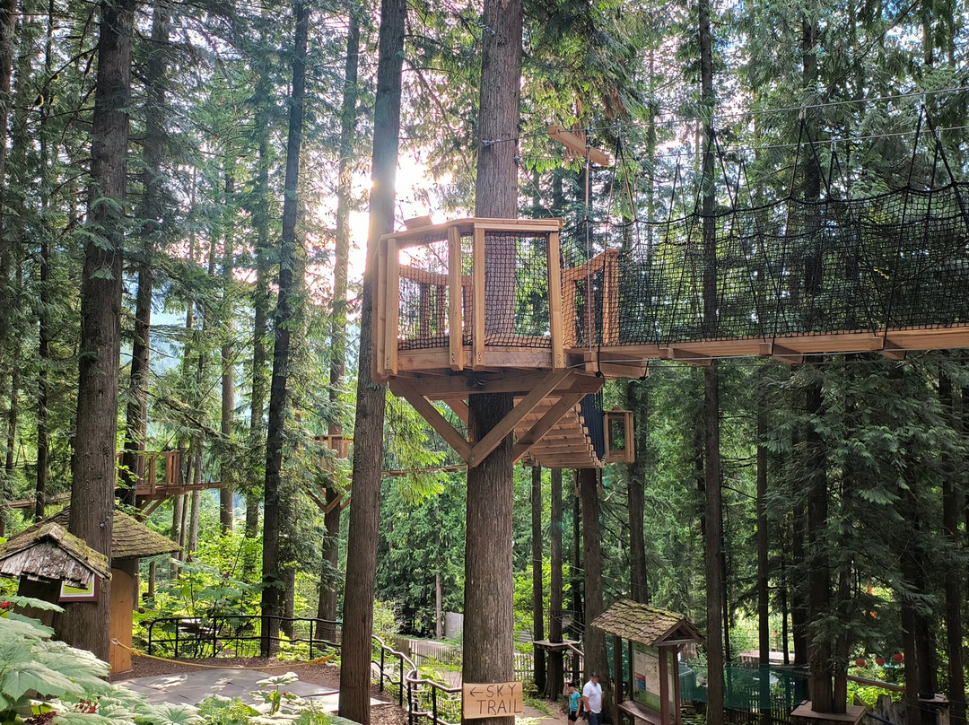 Skytrek Adventure Park-雷夫尔斯托克必去景点