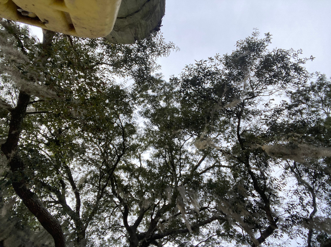 Rooterville Animal Sanctuary-Melrose必去景点