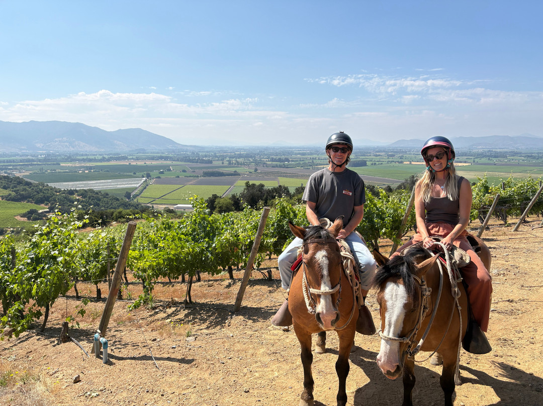 Natural Wine Tours-Palmilla必去景点