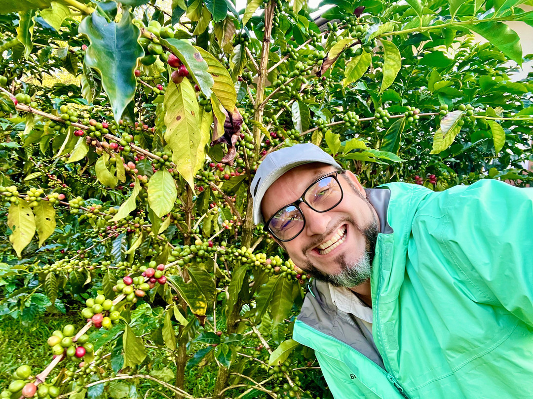 Los Sueños Travel-艾拉杜拉必去景点