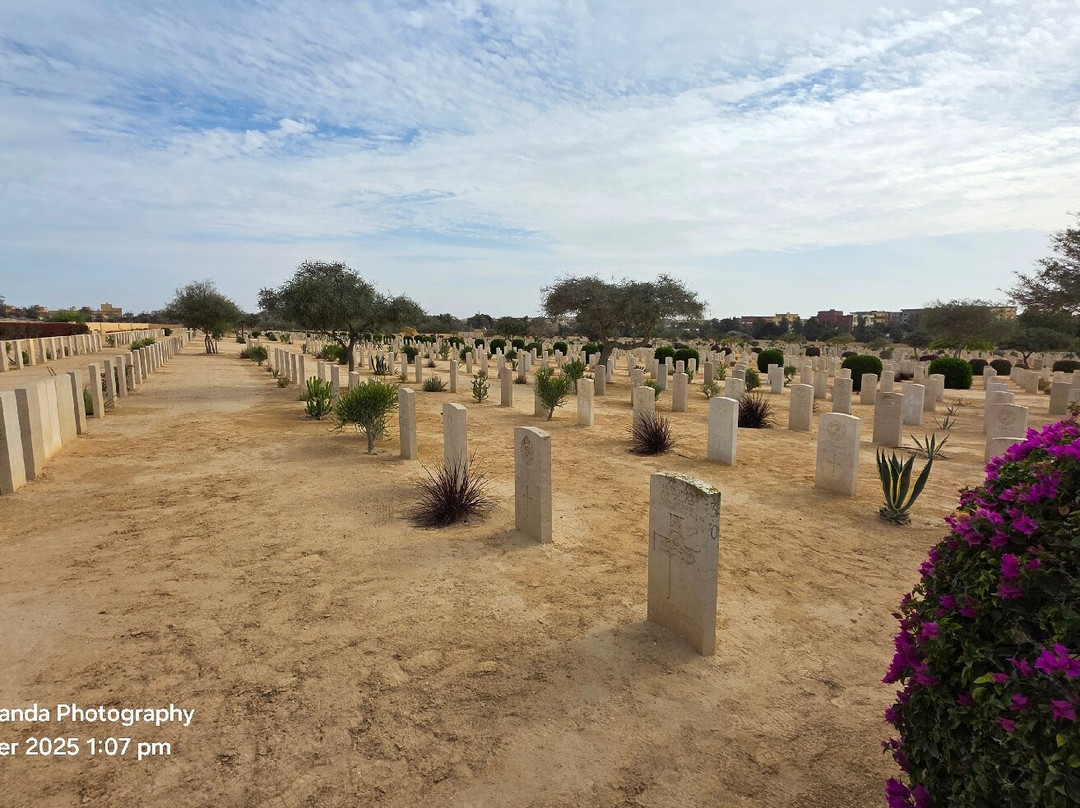El Alamein War Cemetery-El Alamein必去景点