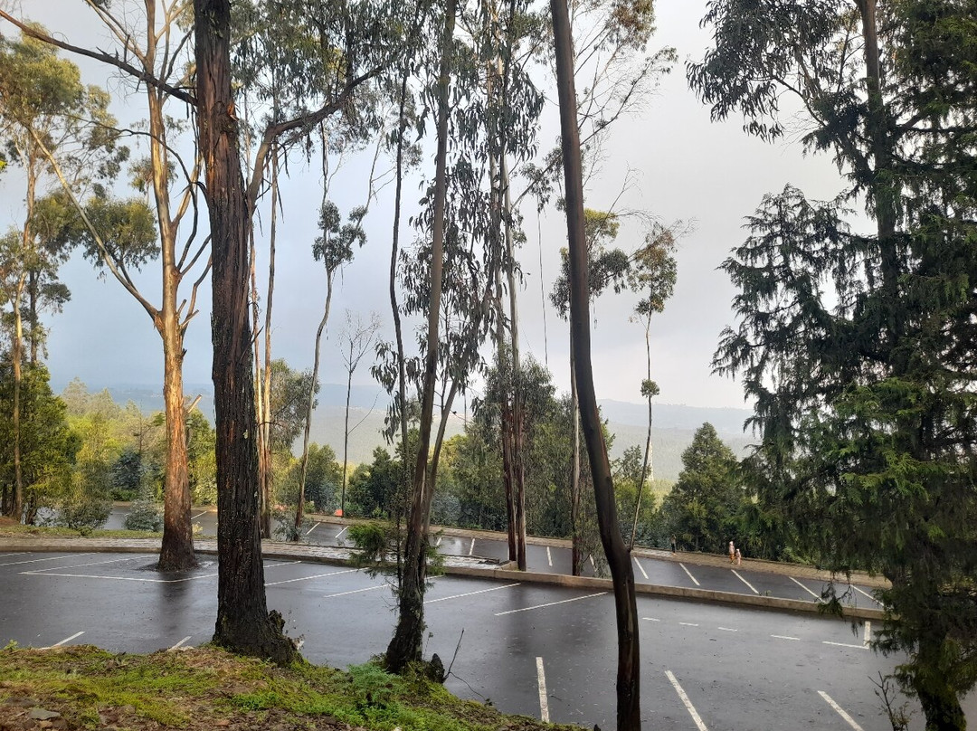 Entoto Natural Park-亚的斯亚贝巴必去景点