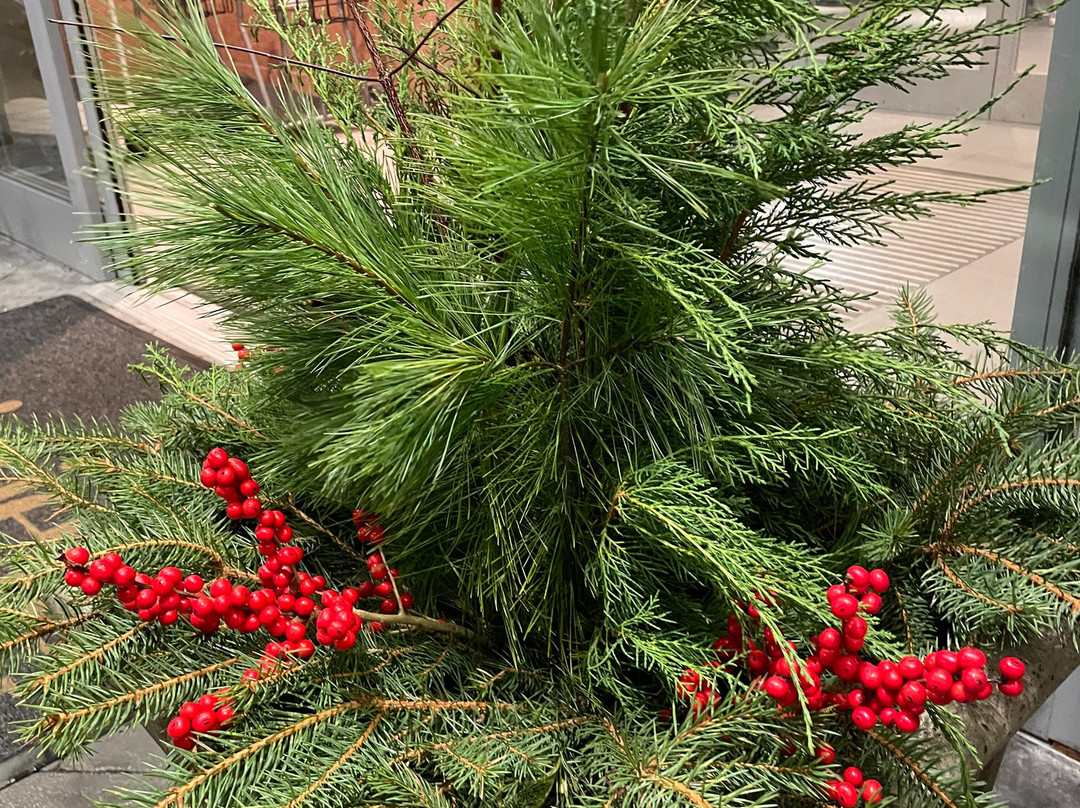 Fairfield by Marriott Inn & Suites Plymouth主图