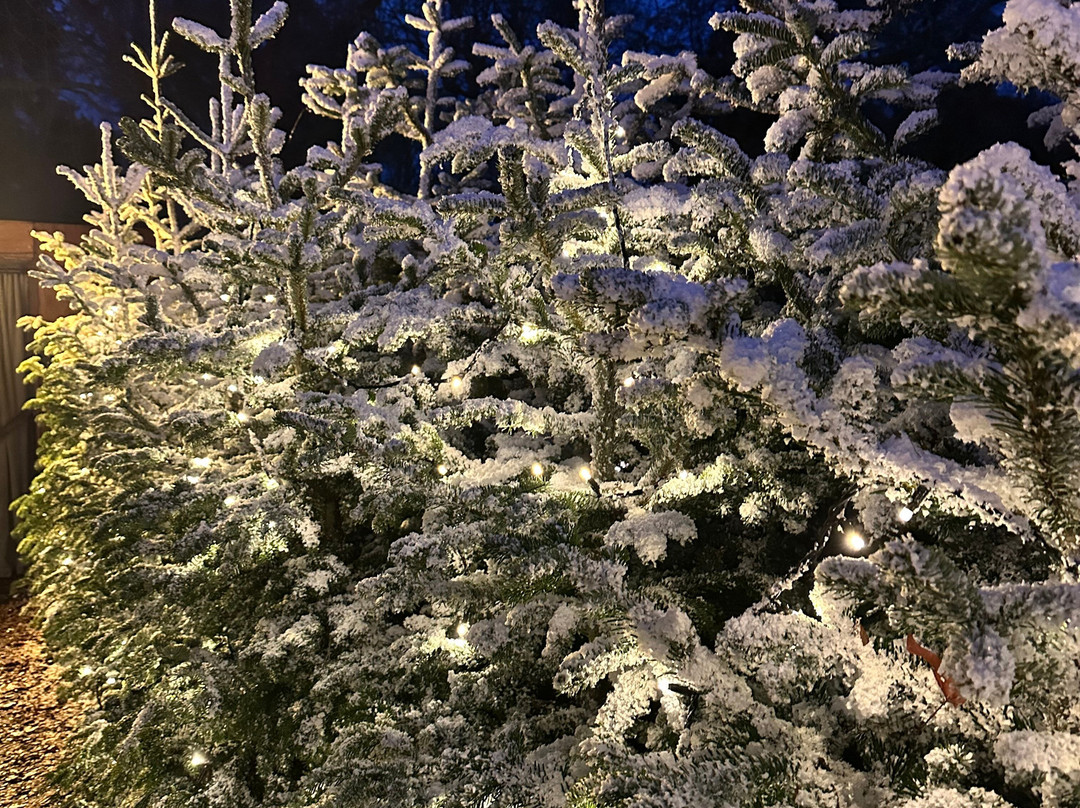 Audley End Miniature Railway-Saffron Walden必去景点