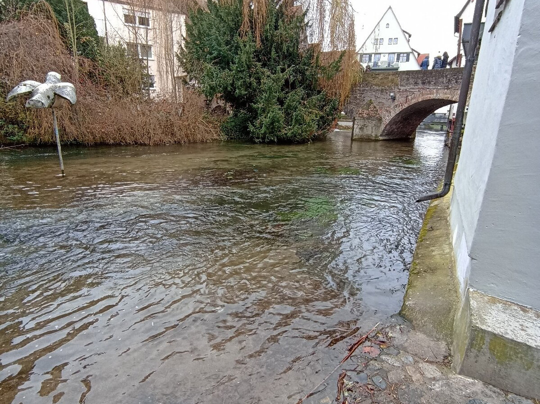 Fishermen's Quarter-乌尔姆必去景点