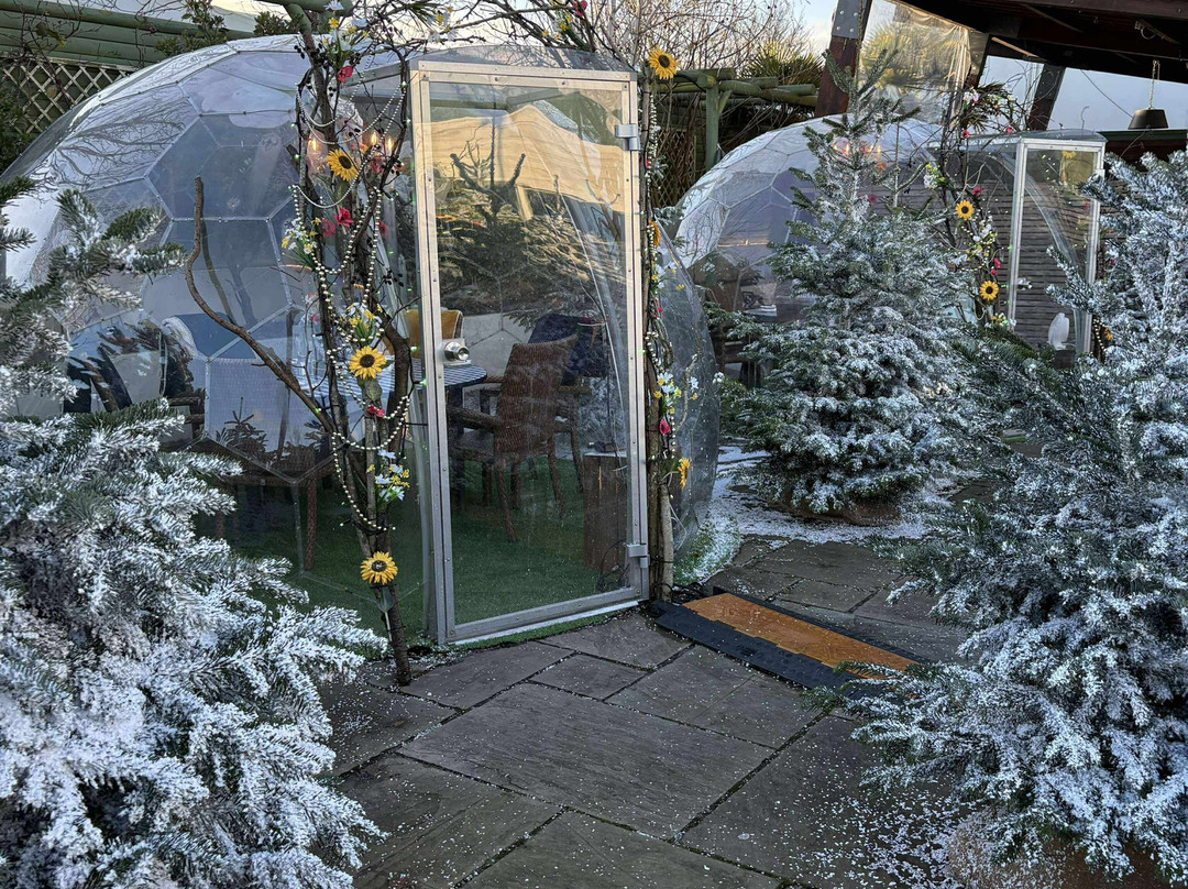 Webbs of Wychbold-德罗伊特威奇必去景点