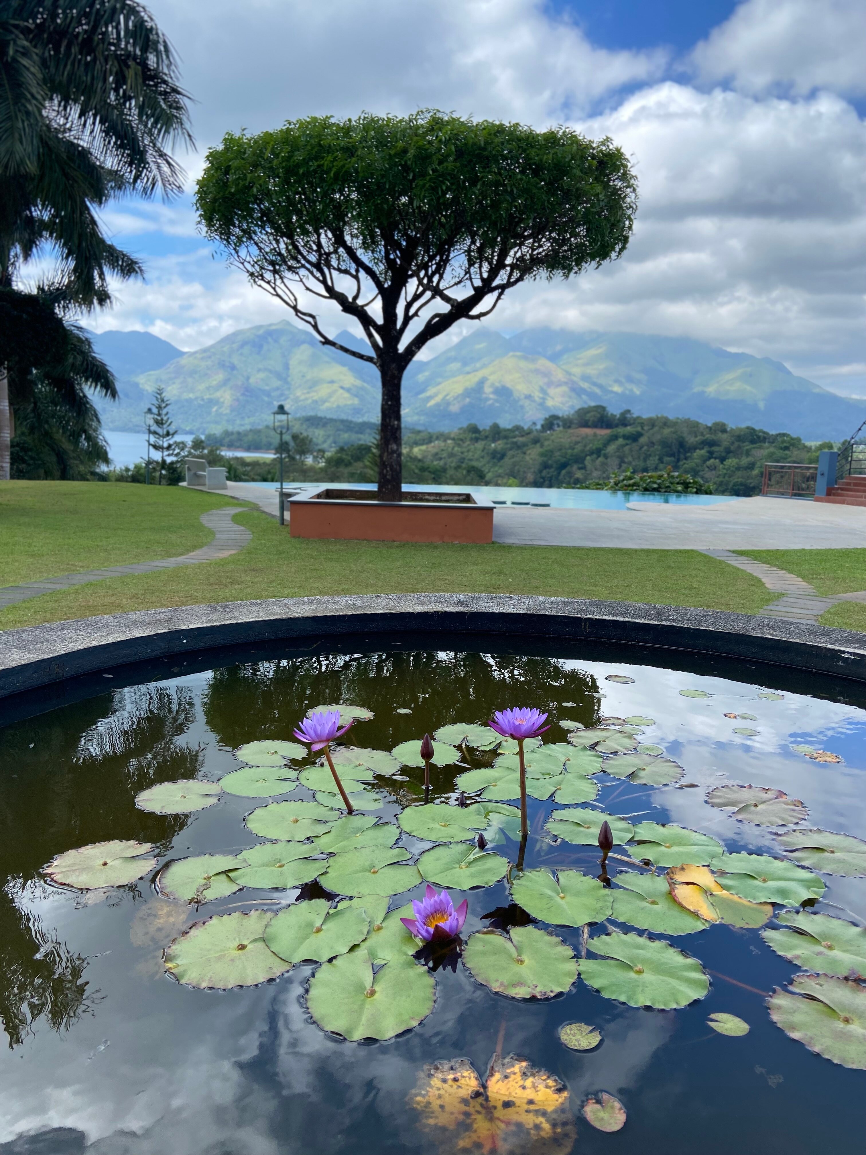 Arayal Luxury Resort-泳池