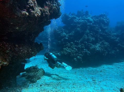 Epic Divers Grand Cayman Cayman Islands-大开曼岛必去景点