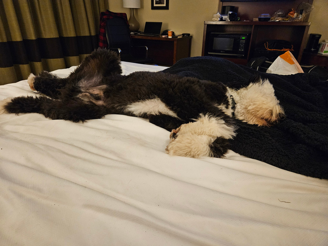 Comfort Inn and Suites Lincoln City主图