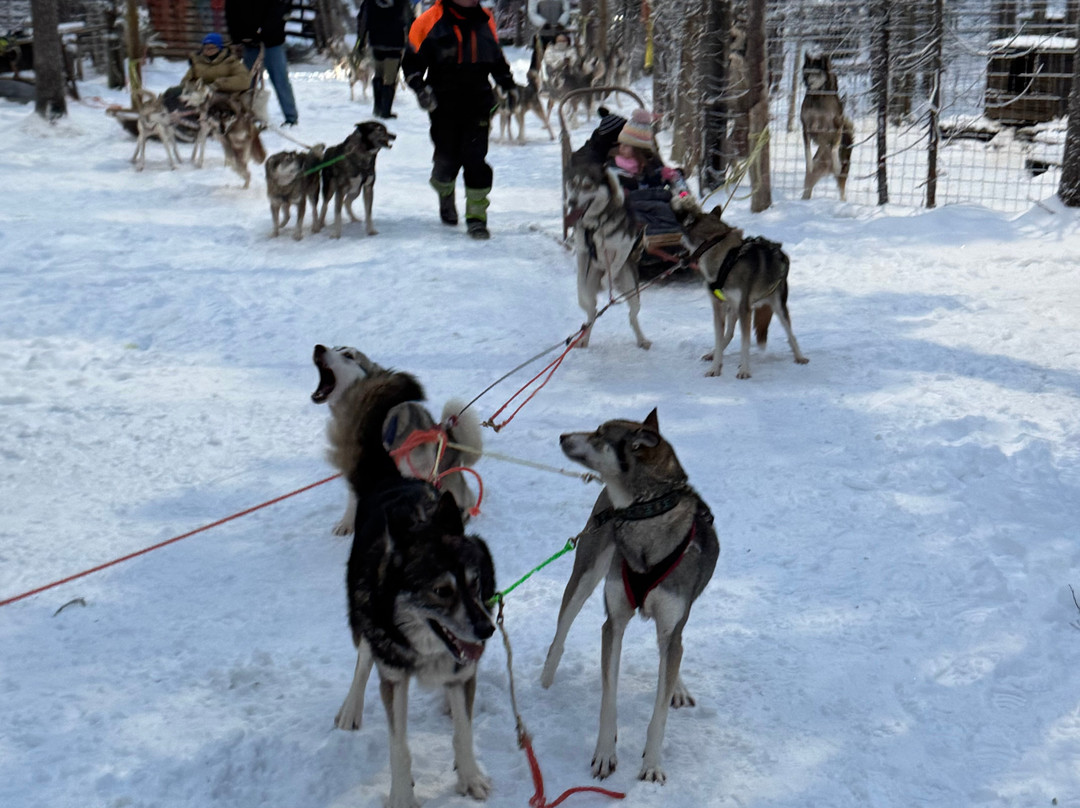 Tundra Huskies Huskyfarm-Levi必去景点