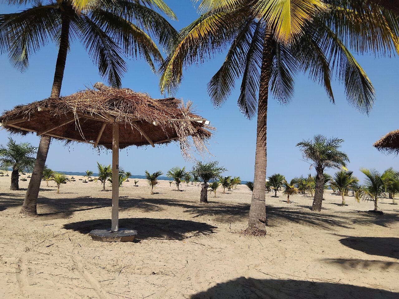 Ocean Bay Hotel & Resort-官方