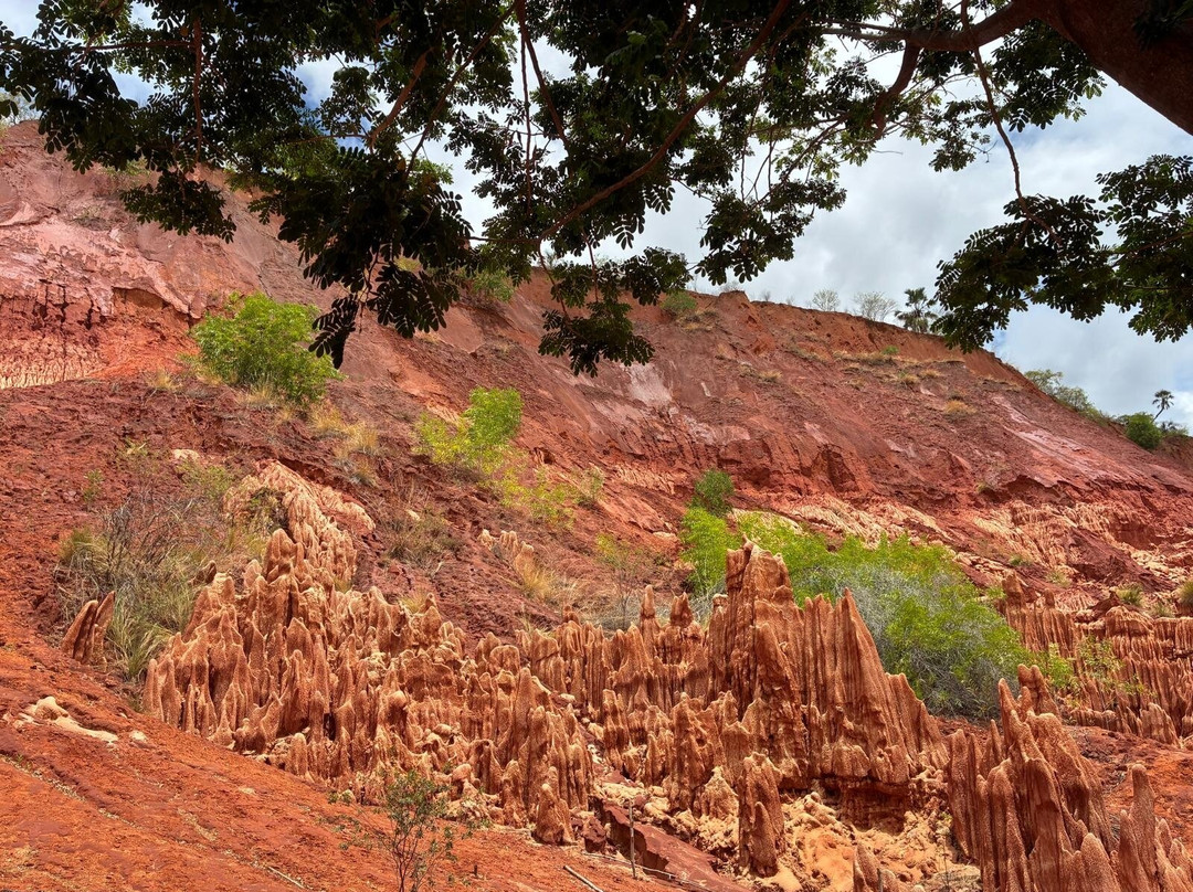 Tsingy Rouge Park-迪亚哥苏亚瑞必去景点