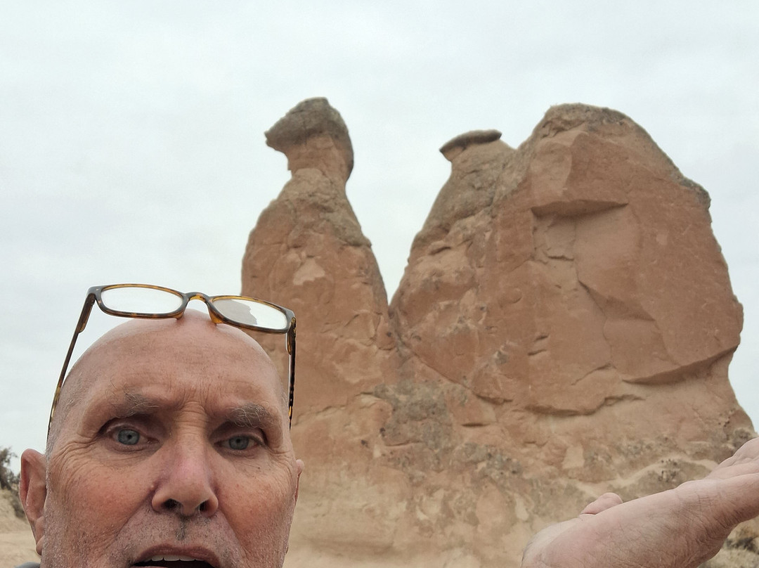 Minister Tours-阿兰亚必去景点