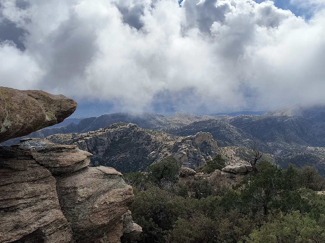 Mt. Lemmon Scenic Byway-图森必去景点
