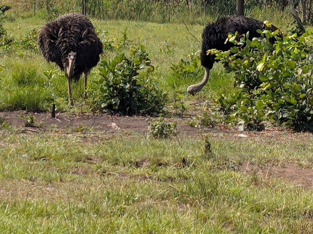 TANF Charity-Tours-Aburi必去景点