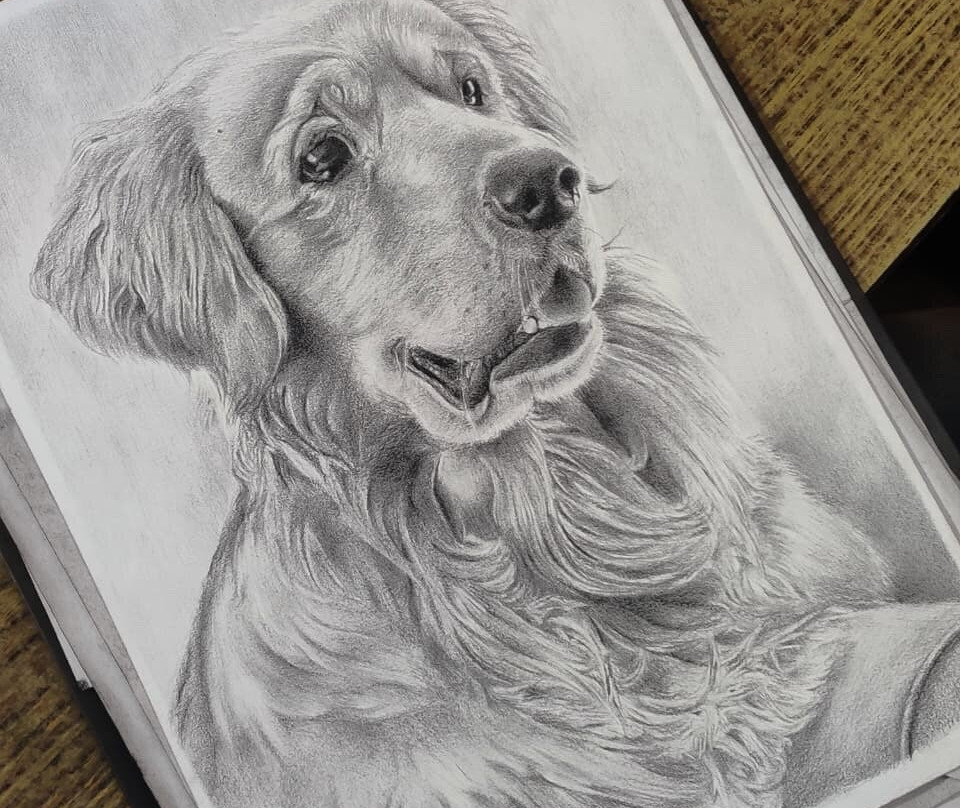 Gradient Art Studio-杰伊瑟尔梅尔必去景点