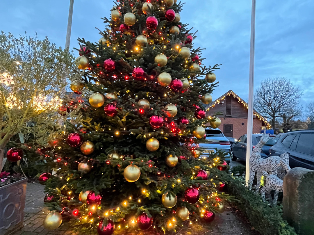 摩尔莉哈耶斯酒店主图