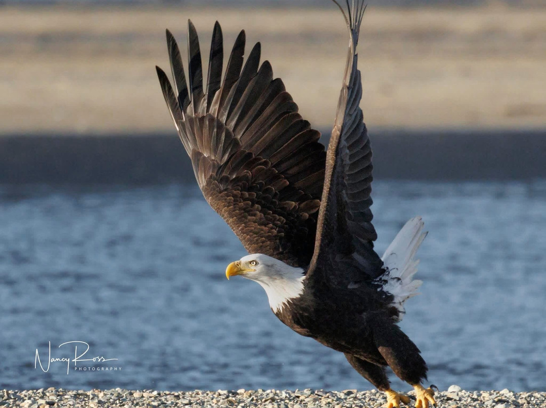 Harrison Eco Tours-哈里逊温泉必去景点