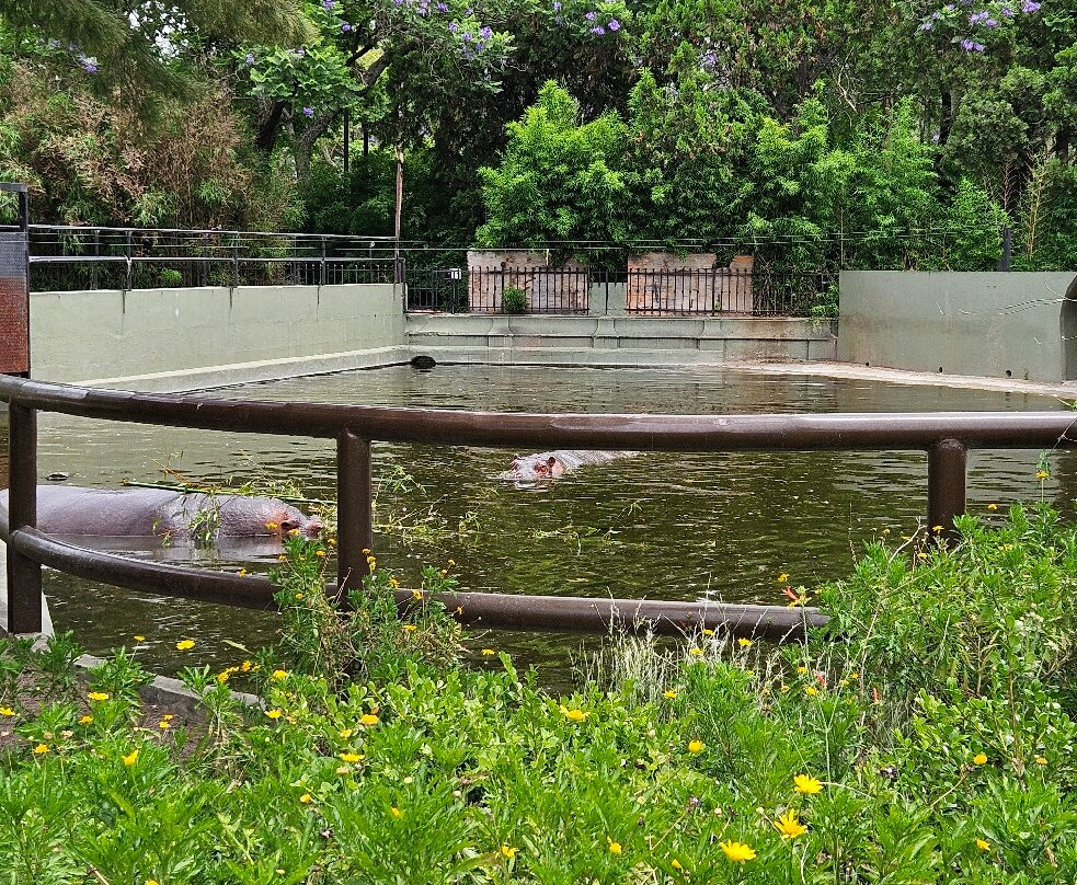 Eco Parque-布宜诺斯艾利斯必去景点