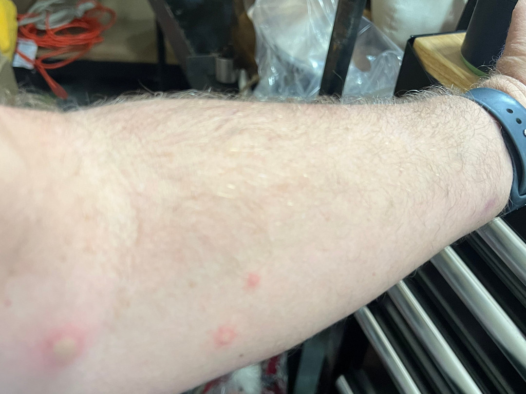 La Quinta by Wyndham Lebanon主图