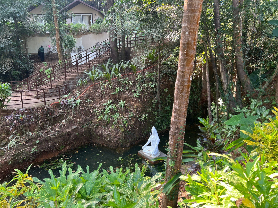 Stone Wood Premier Gokarna主图