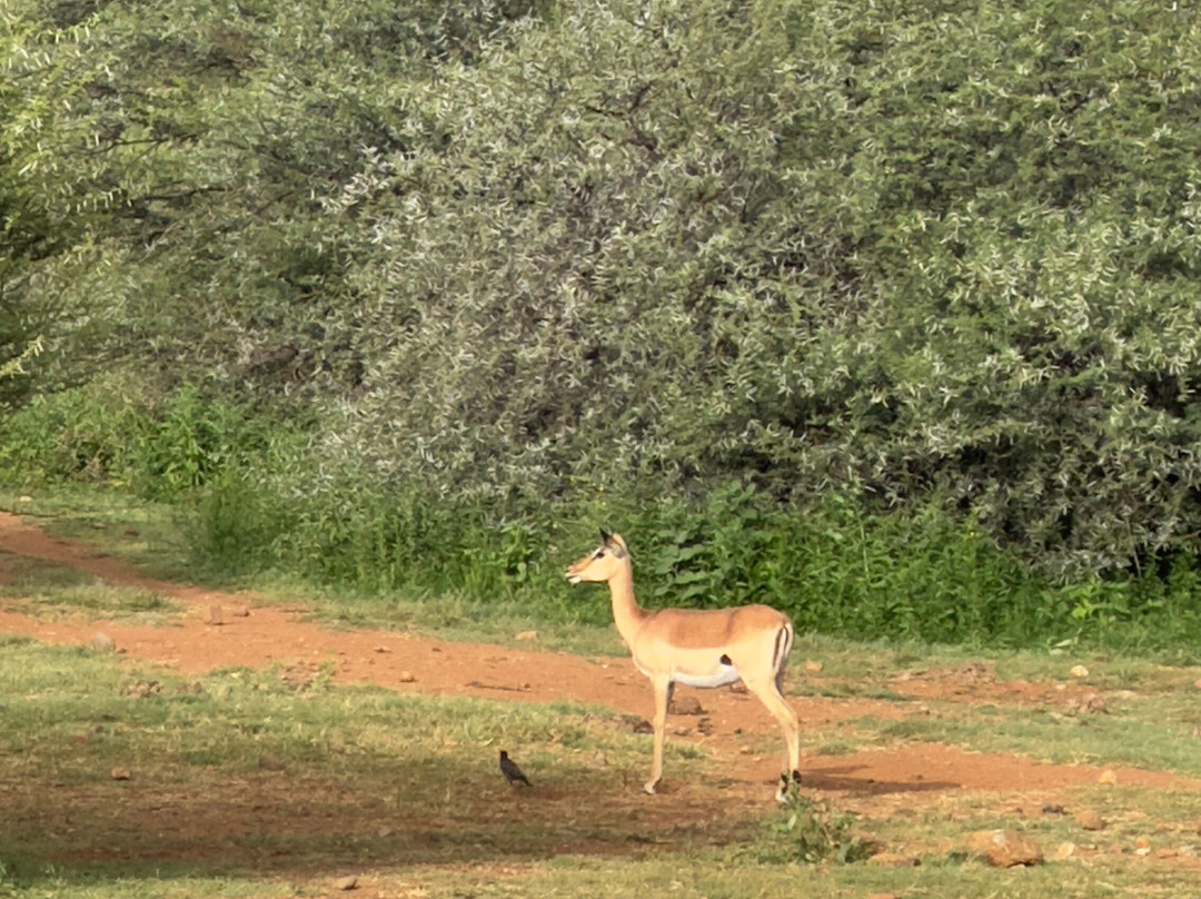 Loisico Tours and Excursions-Bloubergstrand必去景点