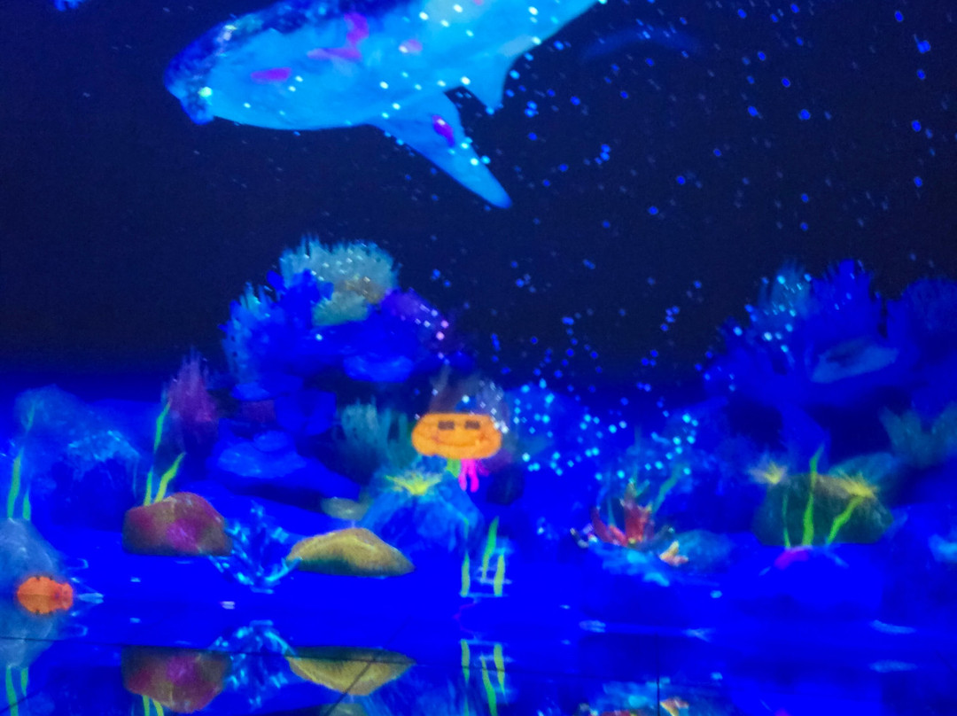 Teamlab Borderless Tokyo Azabudai Hills-港区必去景点