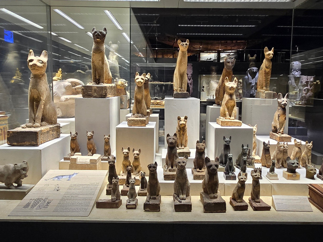 Sharm El-Sheikh Museum-沙姆沙伊赫必去景点