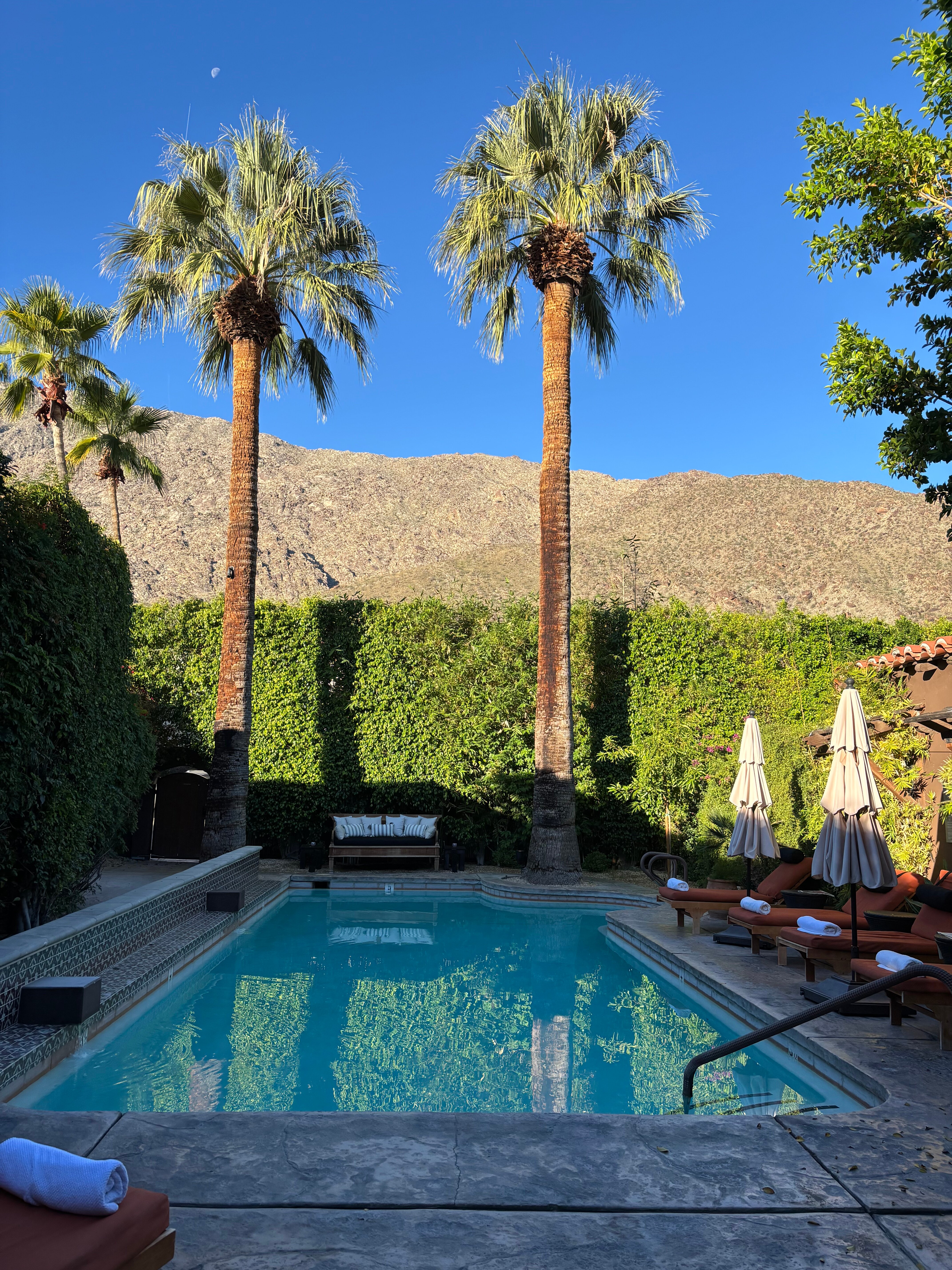 Talavera Palm Springs-官方