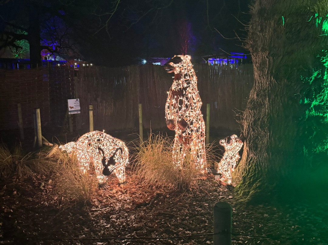 Knowsley Safari-Prescot必去景点