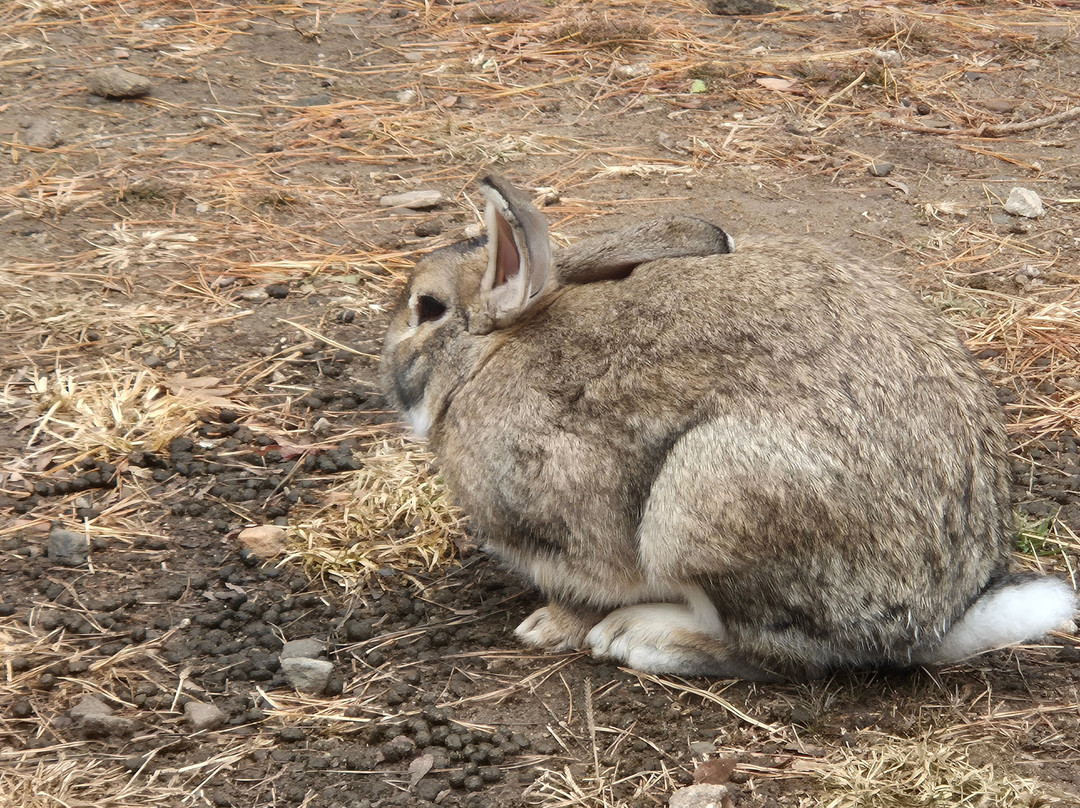 Daewonsa Temple-完州郡必去景点