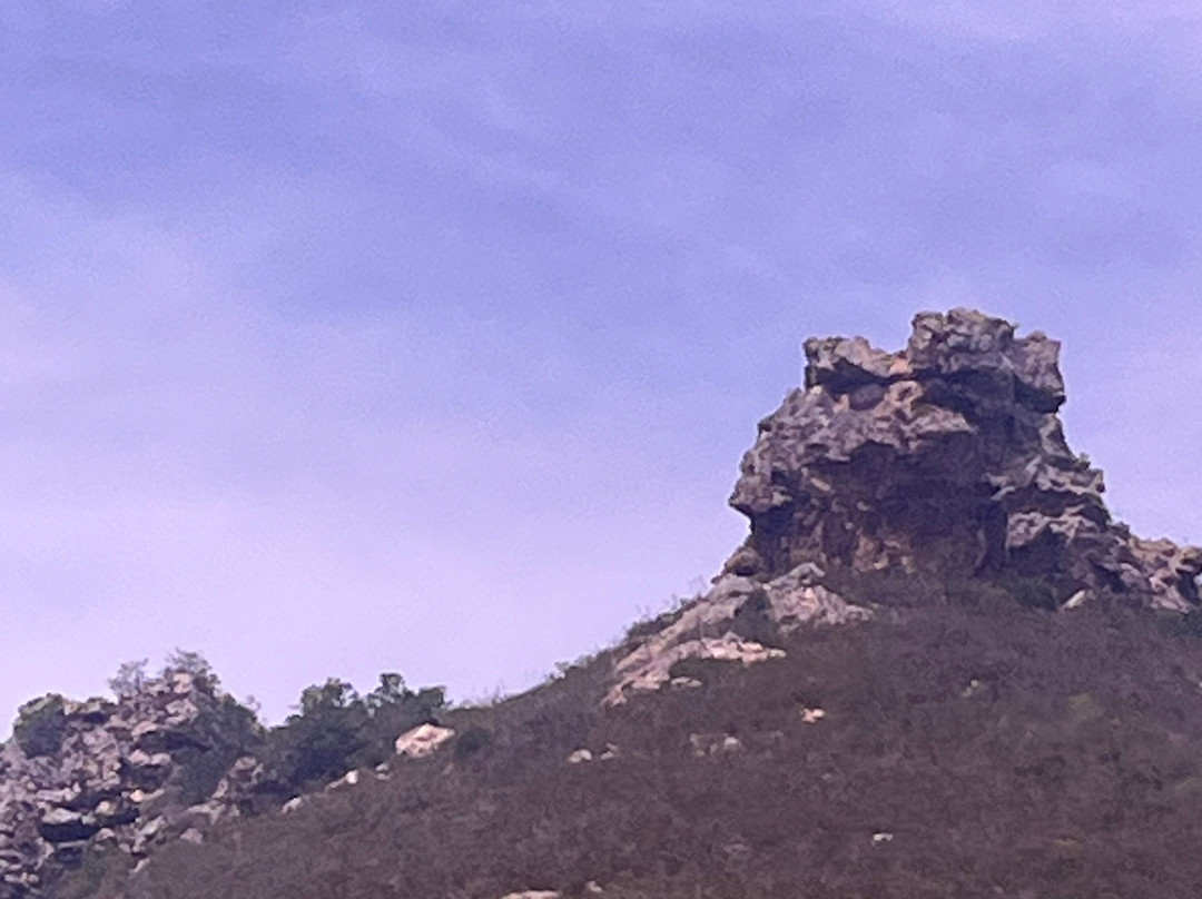 Sizanani Adventure Tours-开普敦必去景点