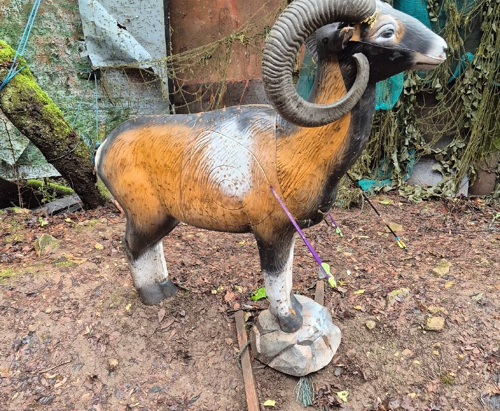 Wye Valley Archery-Portskewett必去景点