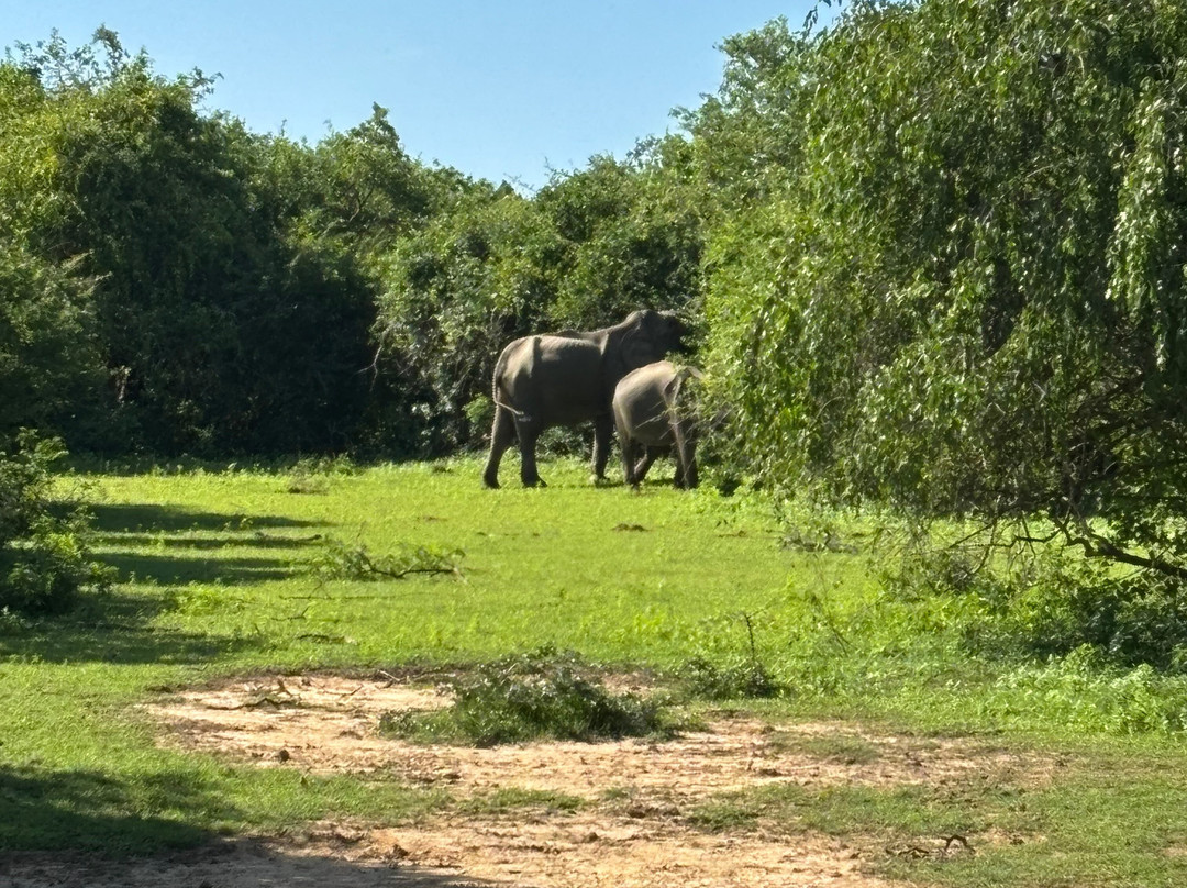 Freedom Safari Jeep Tours-蒂瑟默哈拉默必去景点