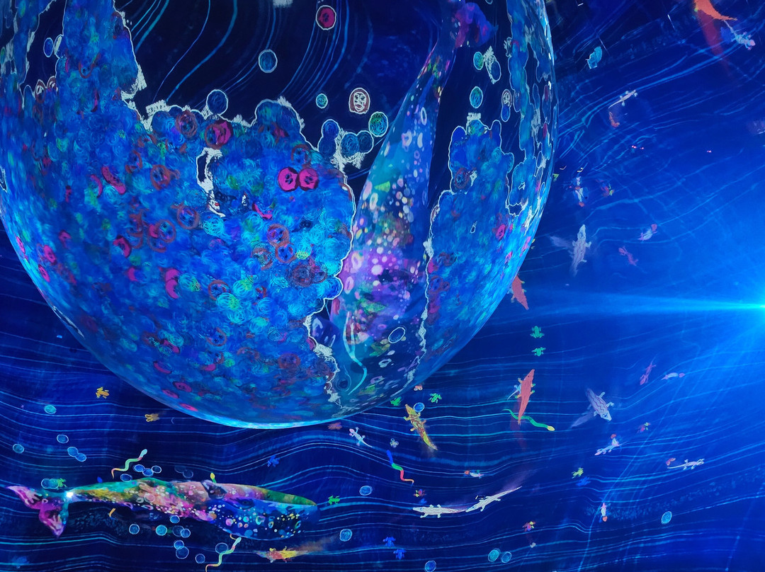 teamLab Phenomena Abu Dhabi-阿布扎比必去景点