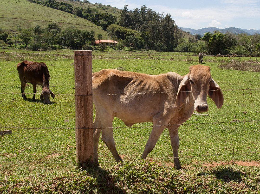 Mirante do Imbiruçu-Paraisopolis必去景点