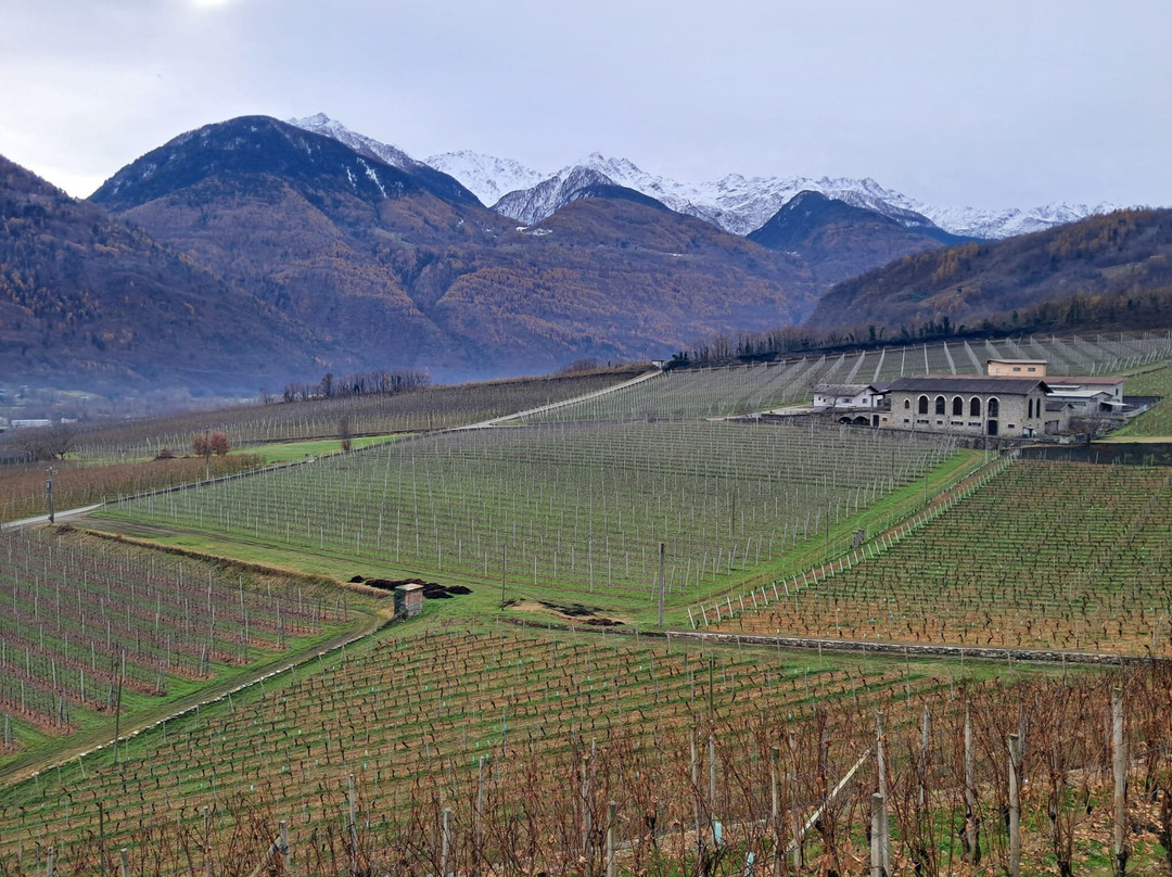 La Gatta - Triacca-Bianzone必去景点