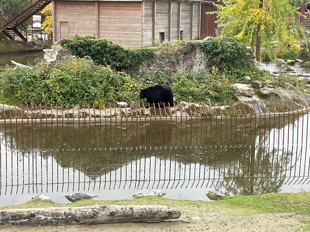 Pairi Daiza Resort主图