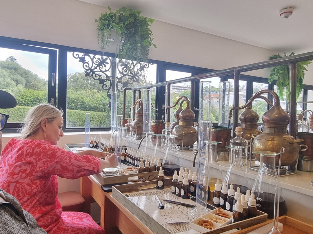 Cape Saint Blaize Distillery-莫塞尔贝必去景点